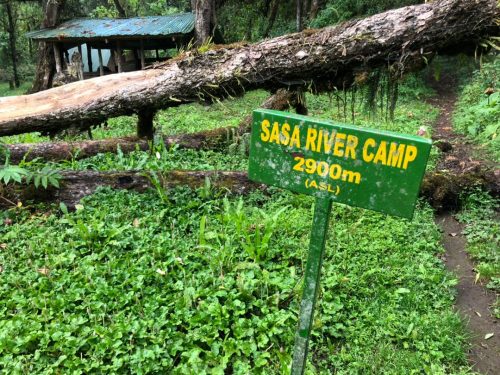 Sasa river camp