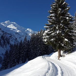  Korte sneeuwschoenwandelreis in Kleinwalsertal